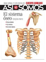 Así Somos - El cuerpo humano